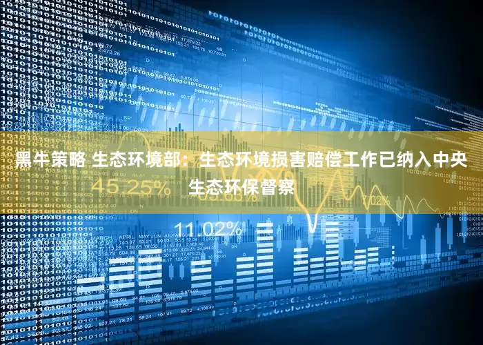 黑牛策略 生态环境部：生态环境损害赔偿工作已纳入中央生态环保督察