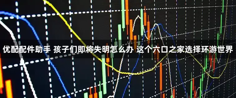 优配配件助手 孩子们即将失明怎么办 这个六口之家选择环游世界