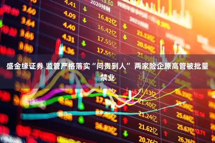 盛金缘证券 监管严格落实“问责到人” 两家险企原高管被批量禁业