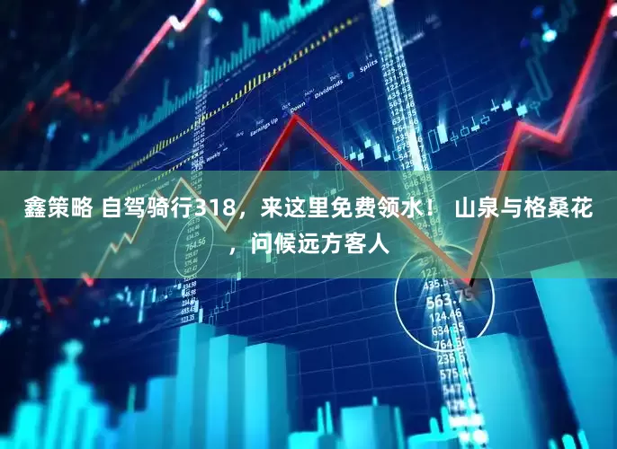 鑫策略 自驾骑行318，来这里免费领水！ 山泉与格桑花，问候远方客人